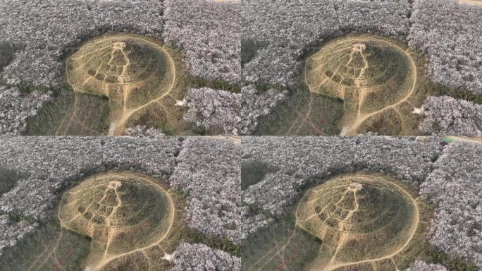 明秦王墓桃花花海航拍西安旅游十里桃花素材