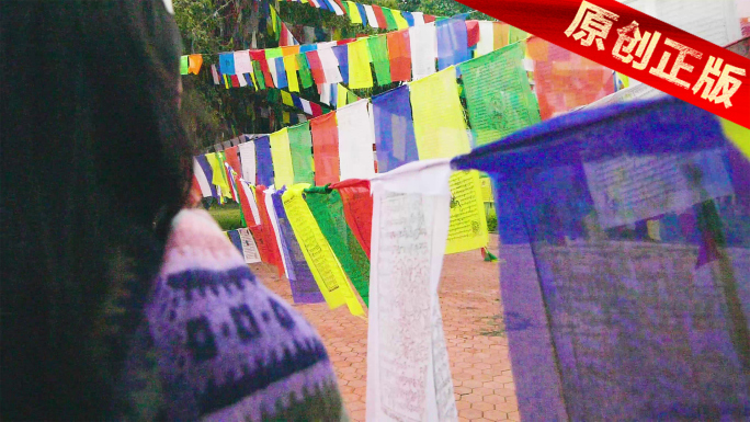 蓝毗尼中华寺人文旅拍旅游宣传 4k尼泊尔