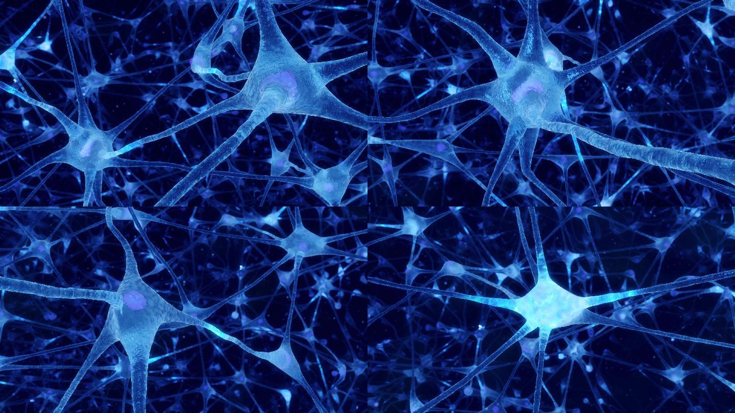 神经元和突触活动动画。人脑中的电脉冲。