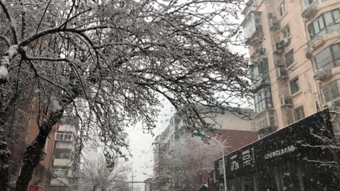 雨雪交加 车窗 外景 雪花  楼房