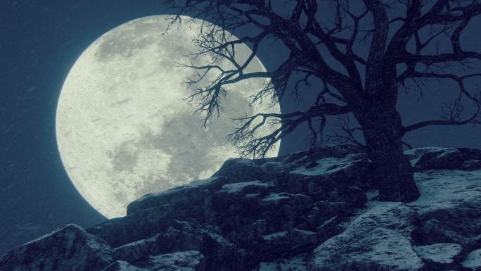 白雪皑皑的山顶上有枯树和满月