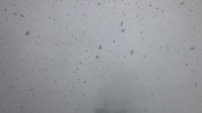 鹅毛大雪 雪花飘舞 雪片 天空 升格