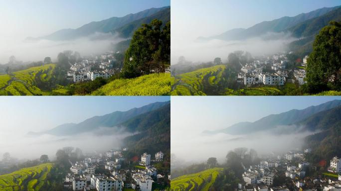 4K航拍江岭徽派建筑民居油菜花早晨风景