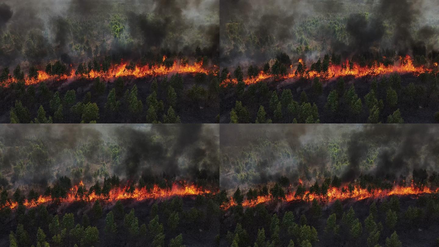 鸟瞰森林火灾森林大火浓烟火情控制