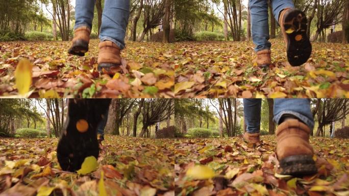 走在满地落叶的秋天前进的脚步步伐脚特写