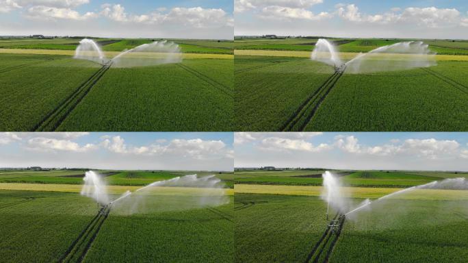麦田灌溉浇地洒水喷水农庄
