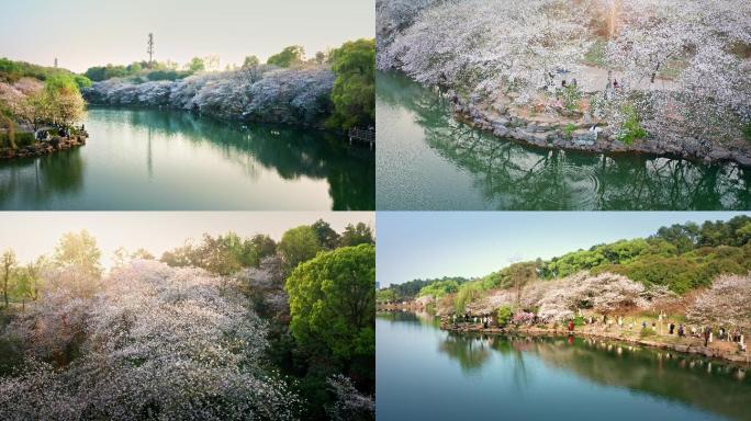 湖南省植物园