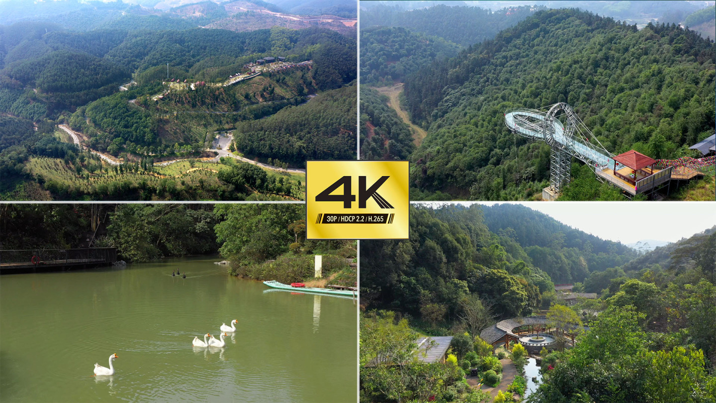 【4K】高峰森林公园生命河谷