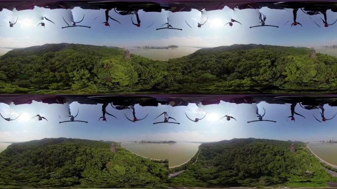 钱塘江大桥六合塔 8K航拍全景VR