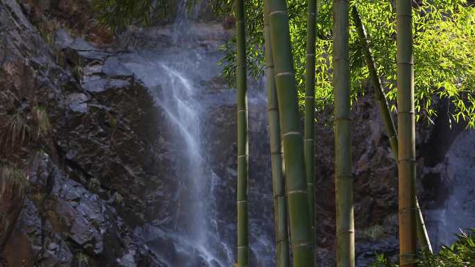 春天瀑布竹林晨曦唯美空镜