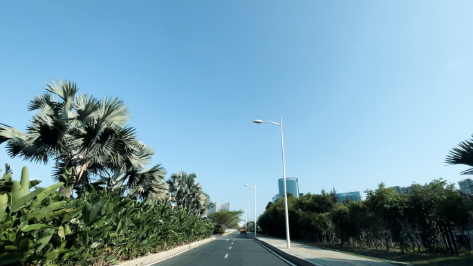 4k 干净的道路 第一视角 林荫大道