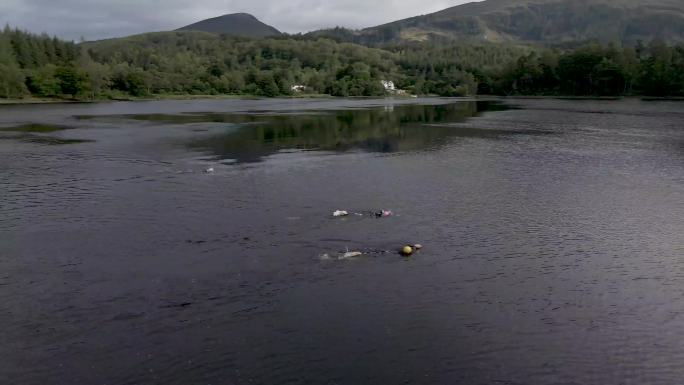 苏格兰湖中游泳运动