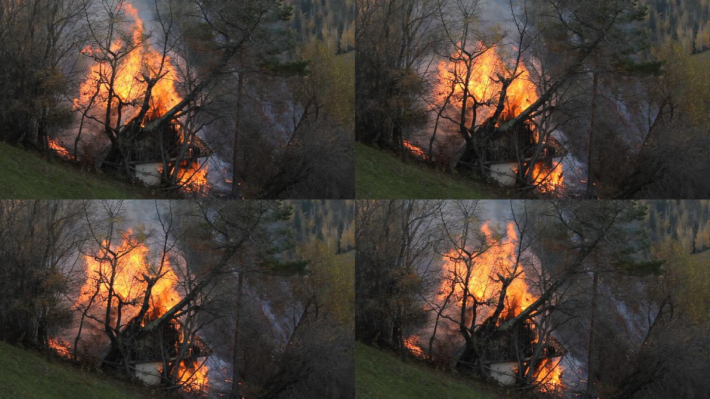 森林里的小木屋着火了