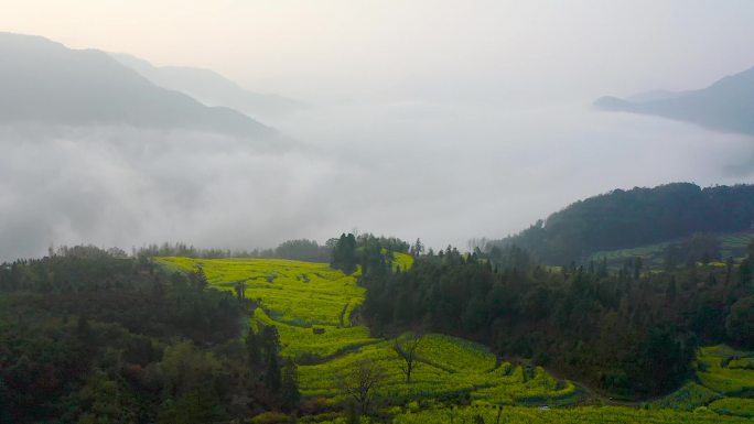 4K航拍江西省上饶市婺源江岭风景区风景