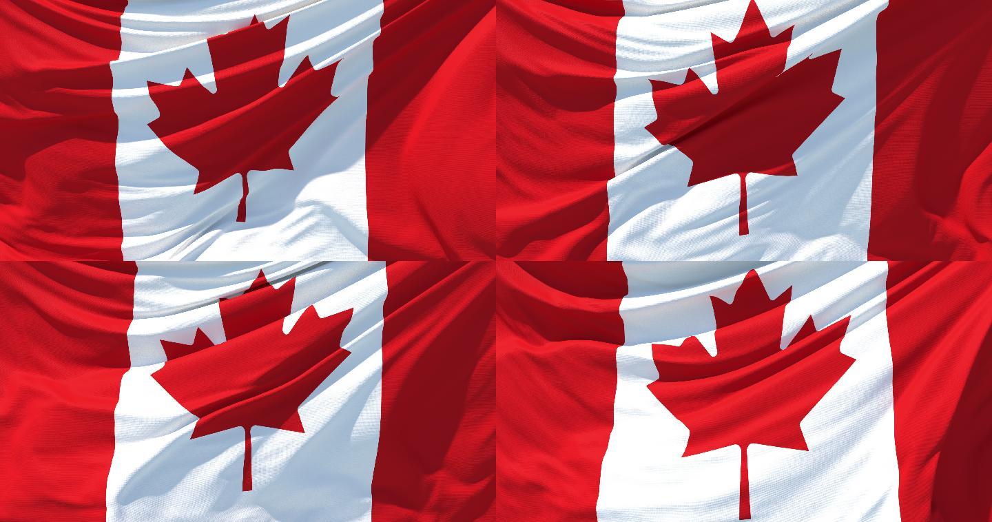加拿大国旗旗场景飞扬飘扬