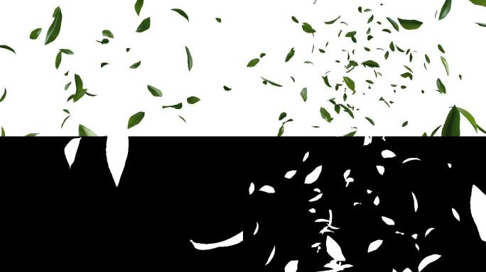 绿茶流3D动画茶叶飘落绿叶树叶通道元素
