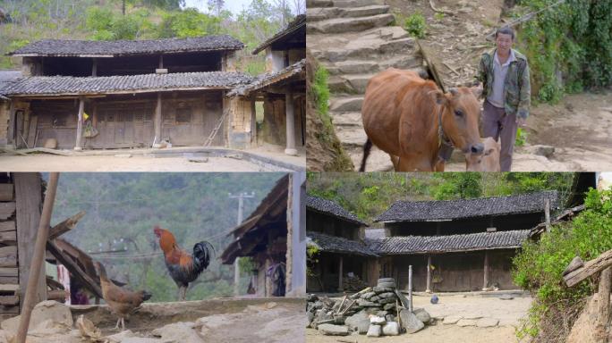 乡村中的房屋和生活感