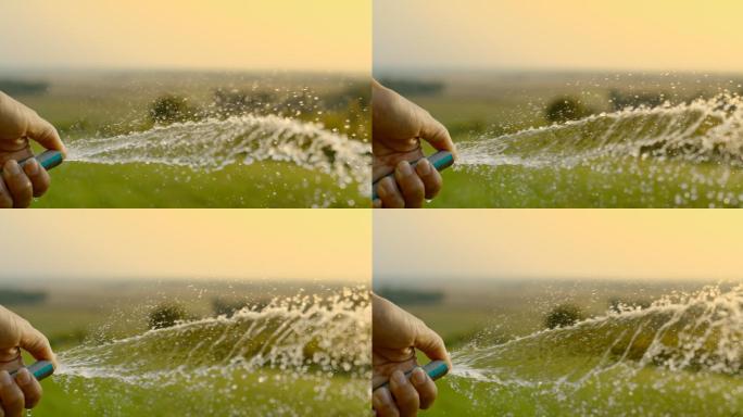 一个人用花园里的软管给草地浇水的超慢镜头