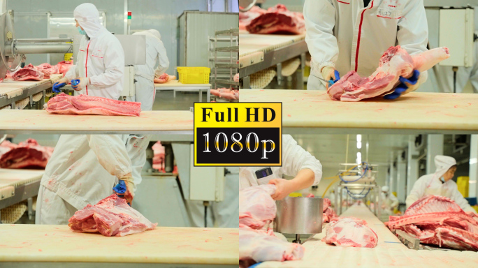 猪肉加工【1080P】
