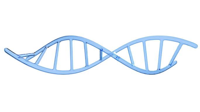 DNA3D动画新冠病毒细菌细胞微生物真菌