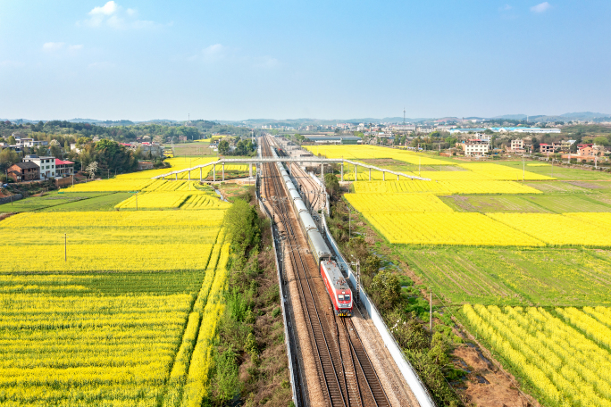 4K航拍列车驶过京广铁路油菜花盛开的田野