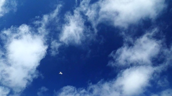 飞行中的海鸥气势磅礴飞翔未来企业意境
