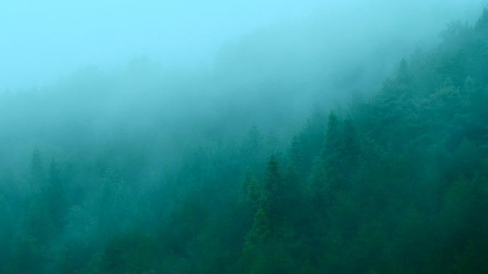 山中的雾风景湖泊风光延时山河森林云海青山