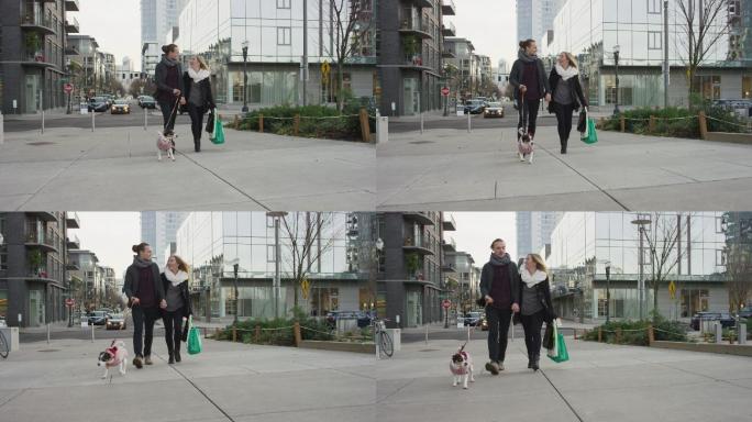 年轻的夫妇遛狗穿过城市