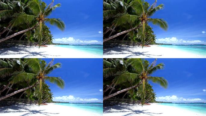 长滩岛上有椰子棕榈树的热带沙滩