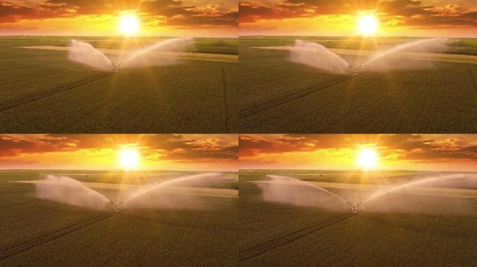麦田灌溉系统水稻谷农业丰收稻田小麦粮食耕