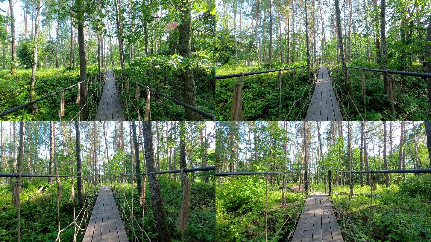 在绿色森林中缓慢地走过吊桥