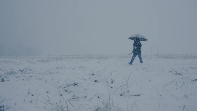 人在下雪天孤独的行走，旷野，空境