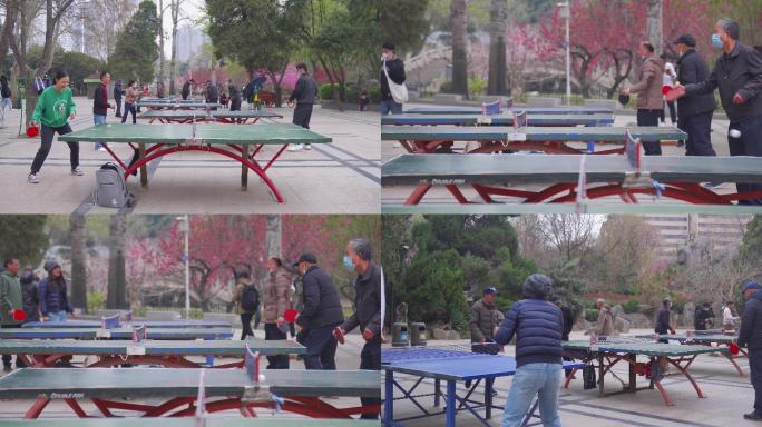 公园里一群人在打乒乓球