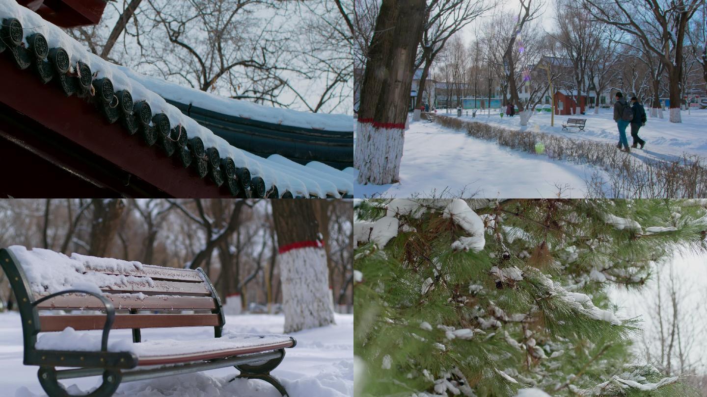 4K雪景、公园、街道、椅子、冬天、暖阳