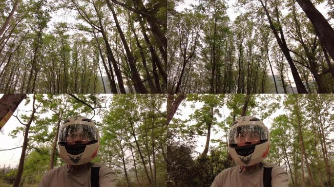 开摩托车 穿梭树林