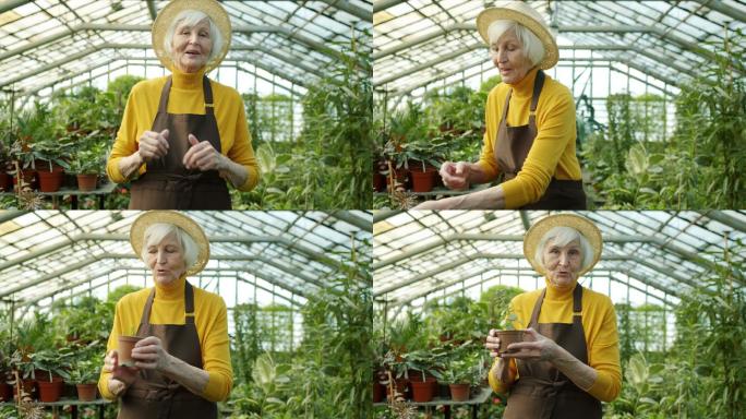 夫人在温室里用盆栽植物录制视频的肖像