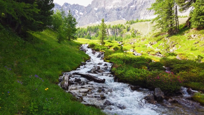 法国阿尔卑斯山上美丽的小溪