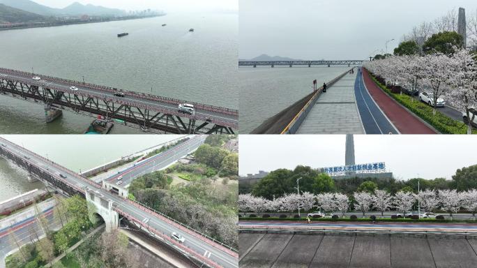 杭州钱塘江大桥樱花
