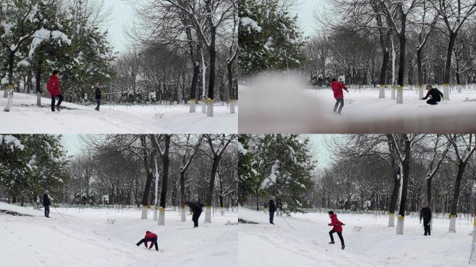 公园打雪仗的人
