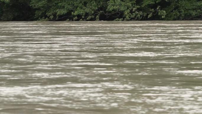 大雨后的河流河水大水暴雨淹水水位上涨
