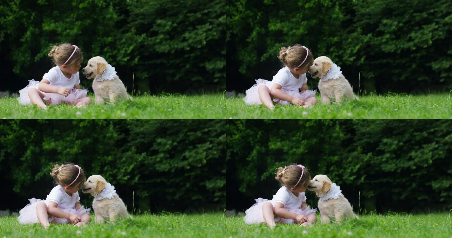 小女孩亲吻她的小狗金色猎犬朋友