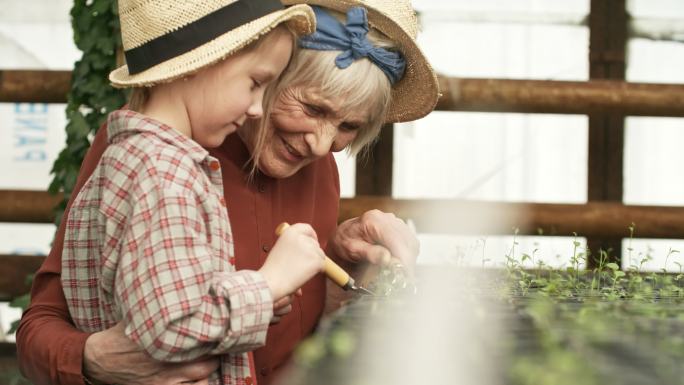 快乐的祖母和孙女在温室里除草