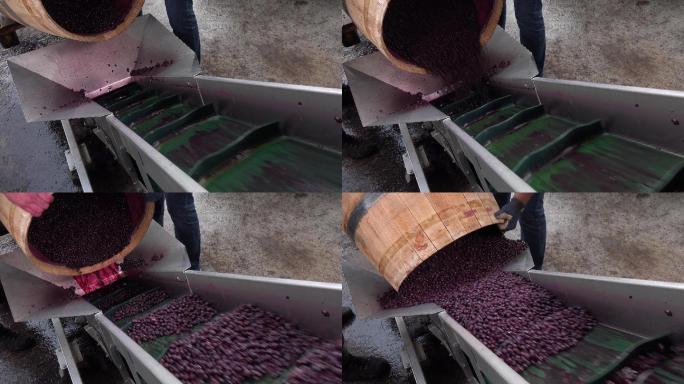 桶内发酵过程中的葡萄酒混合
