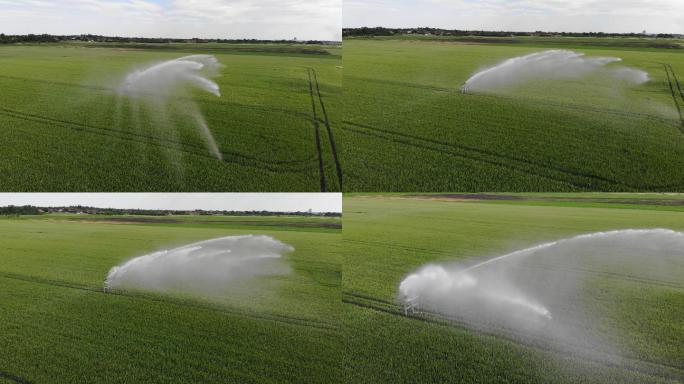 灌溉麦田的灌溉系统