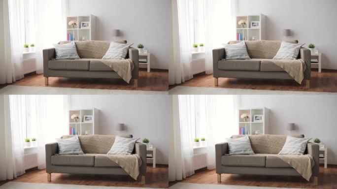 舒适的家庭客厅里有靠垫的沙发