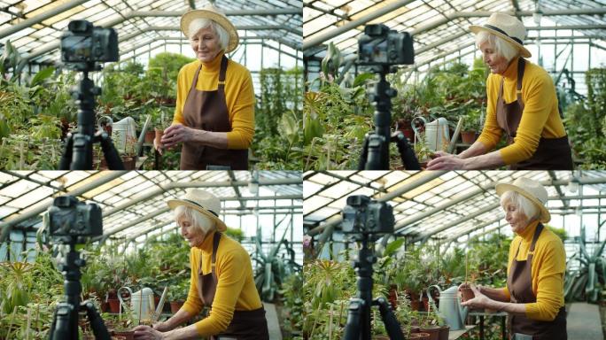 年长的女博客在录制园艺视频
