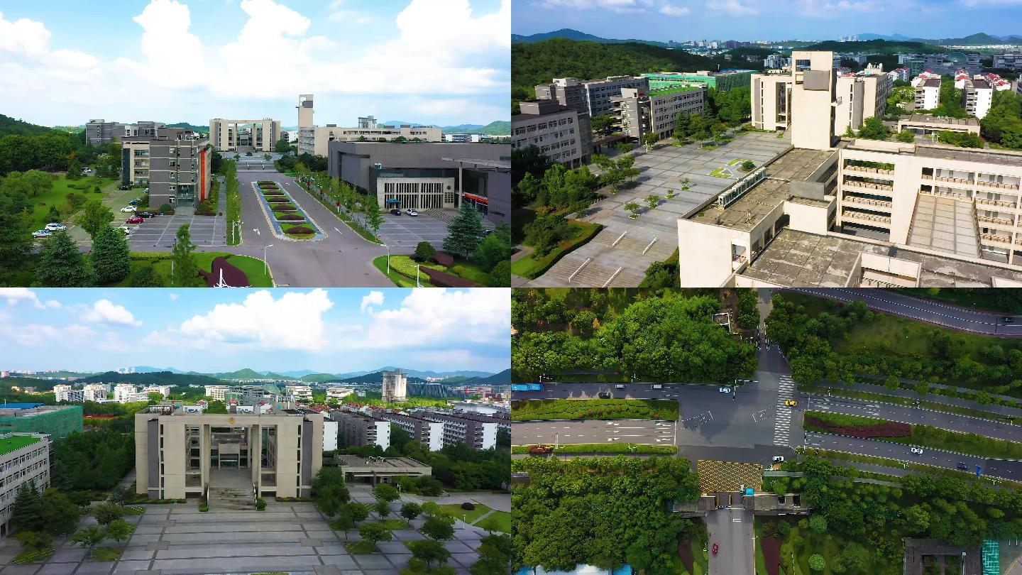 南京警察森林學院包分配嗎_南京森林警察學院_南京森林警察學院警徽