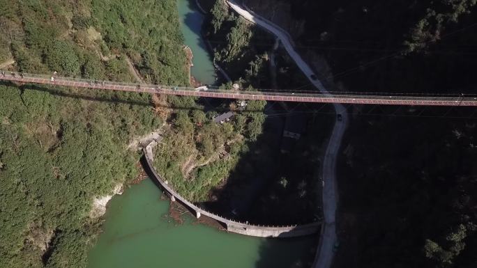 浙江绍兴诸暨市香榧林景区