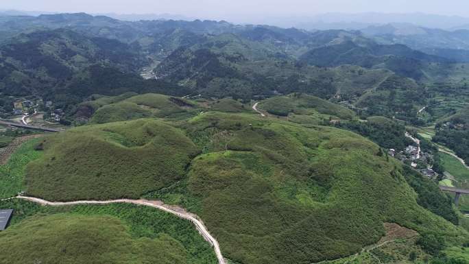 航拍贵州黔东南三穗贵洞竹海景区