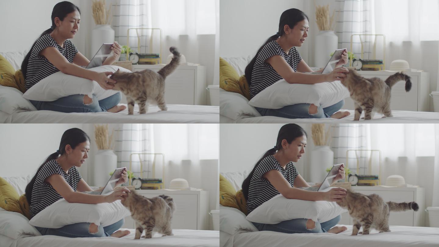 女子视频通话时抚摸一只斑猫。
